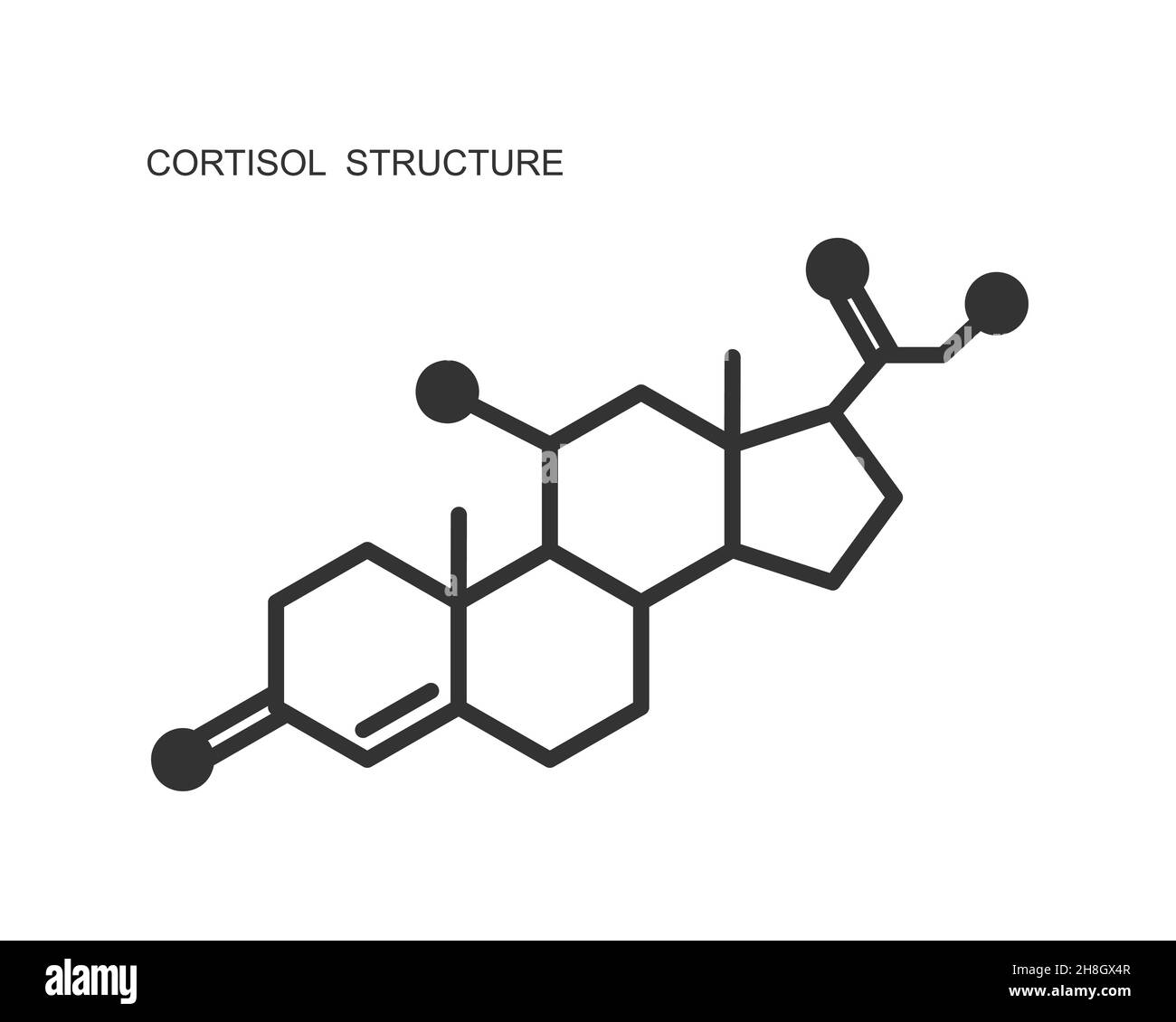 CORTISOL 2