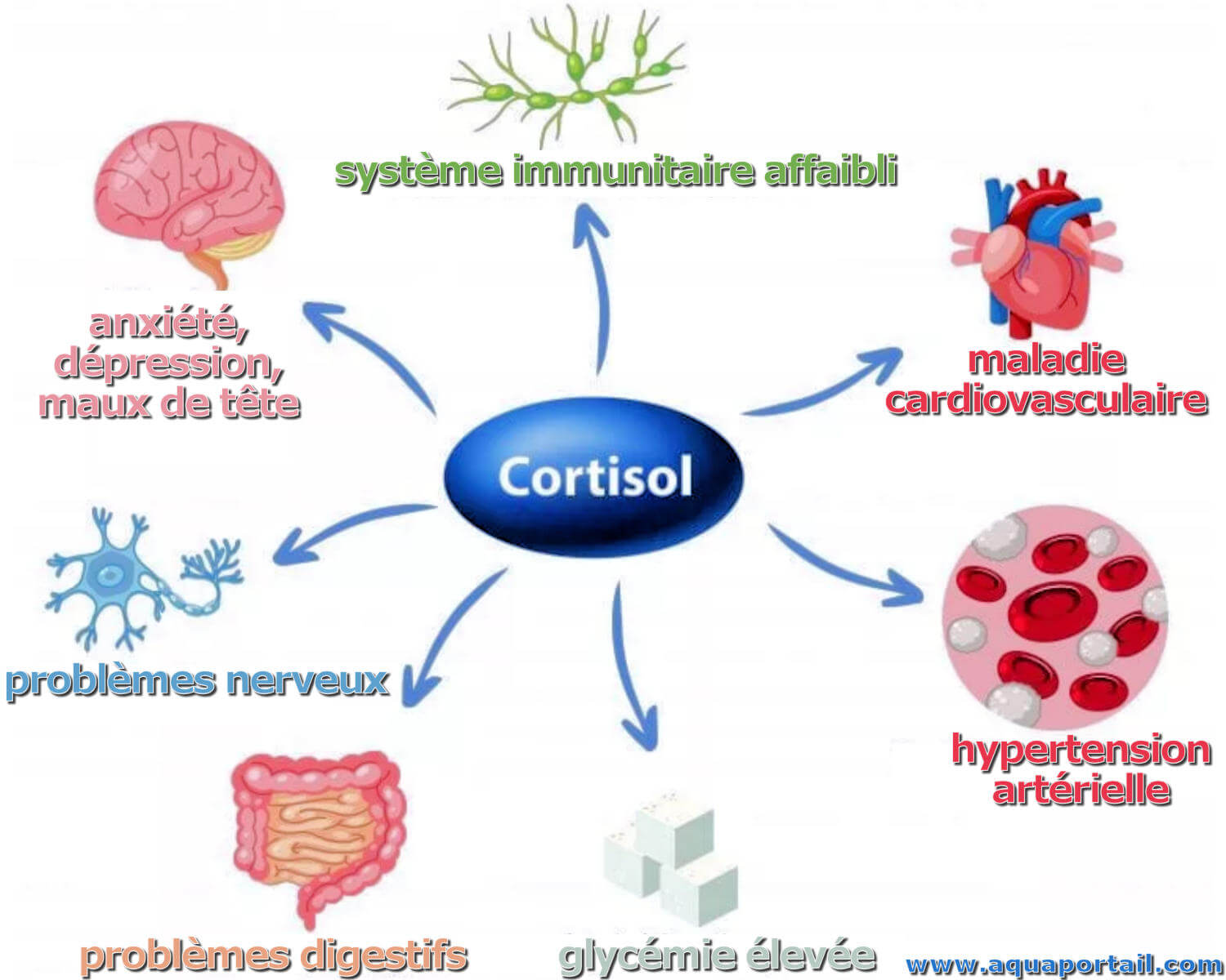 CORTISOL