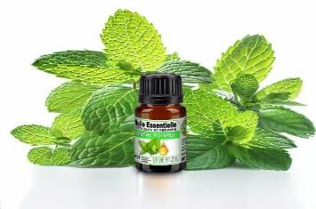 HUILE DE MENTHE POIVREE