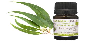HUILE ESSENTIELLE D'EUCALYPTUS RADIE