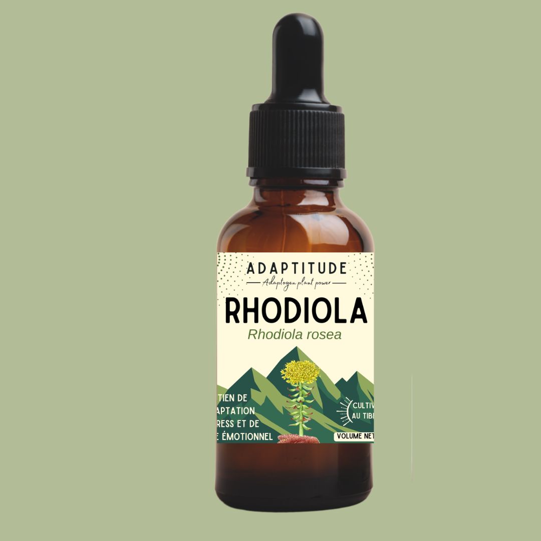 HUILE ESSENTIELLE DE RHODIOLA