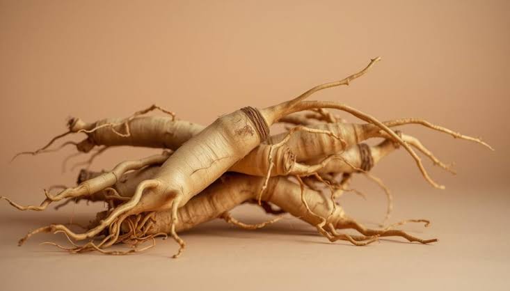 LE GINSENG