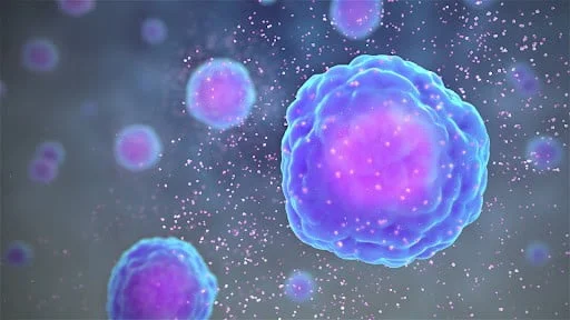 Pro Inflammatory Cytokines