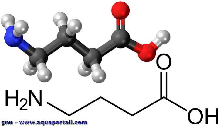 RECEPTEUR acide gamma aminobutyrique